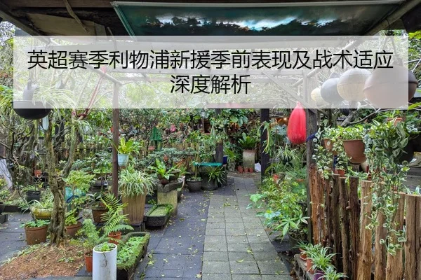 英超赛季利物浦新援季前表现及战术适应深度解析